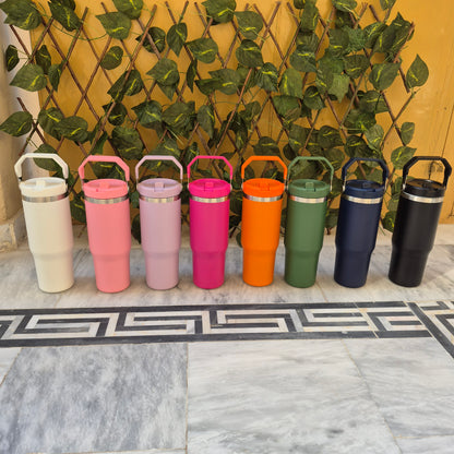 Stainless Steel Bottle with top handle with straw inside (890ml)