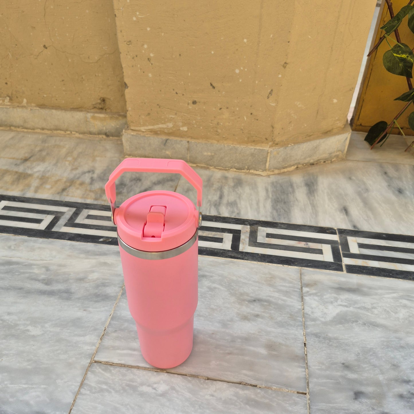 Stainless Steel Bottle with top handle with straw inside (890ml)