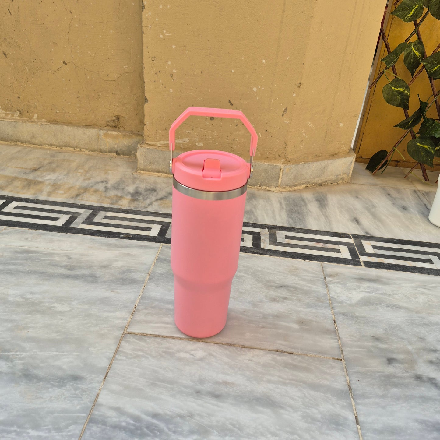 Stainless Steel Bottle with top handle with straw inside (890ml)