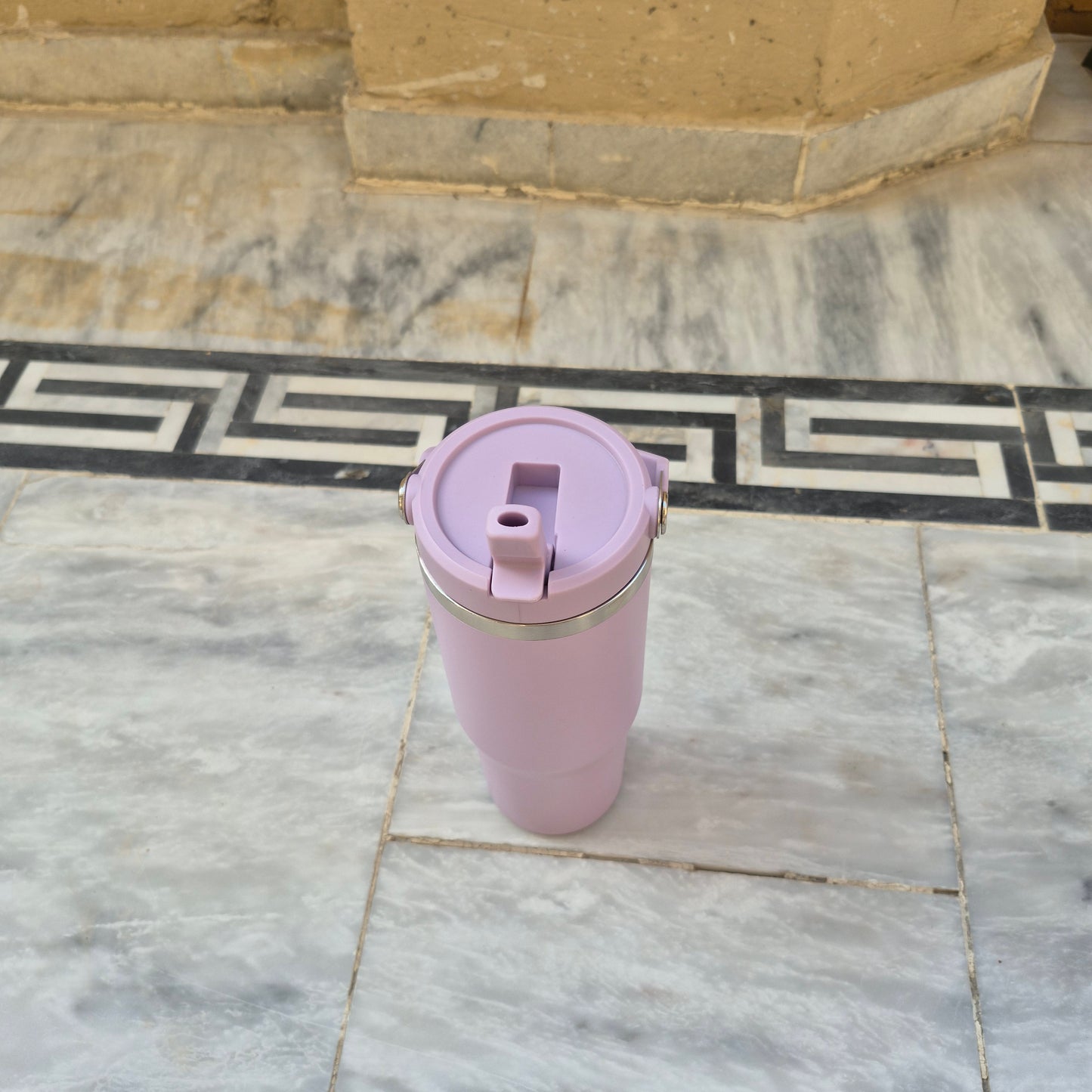 Stainless Steel Bottle with top handle with straw inside (890ml)