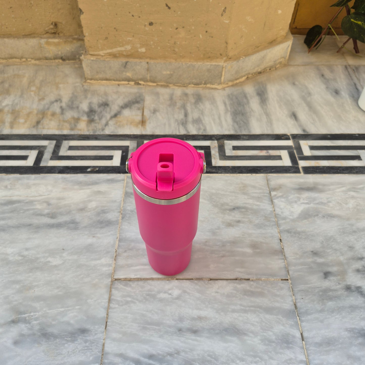 Stainless Steel Bottle with top handle with straw inside (890ml)