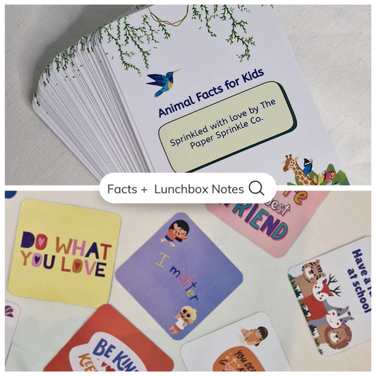 Kids Learning + Lunchbox Pack