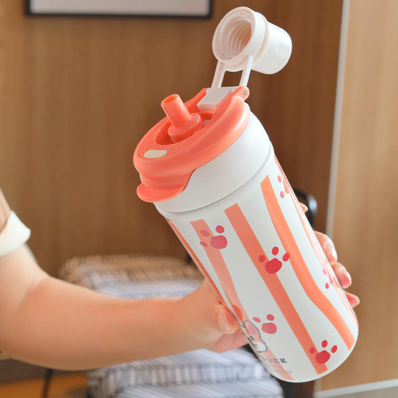 FunFlask Collection - Insulated