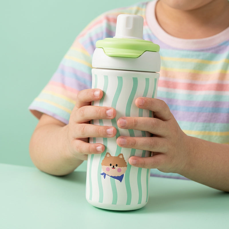 FunFlask Collection - Insulated 700ml