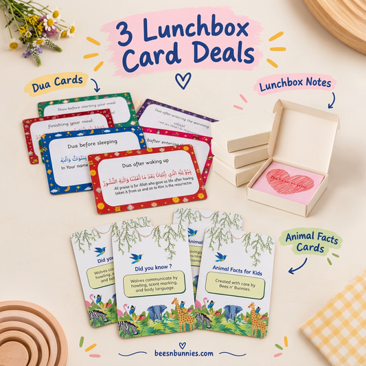 Lunchbox Notes, Dua Cards & Animal Fact cards