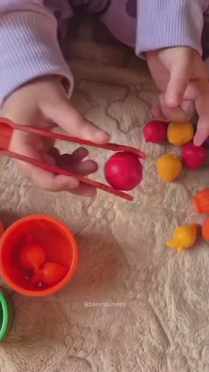 Fruit Sorting Cups